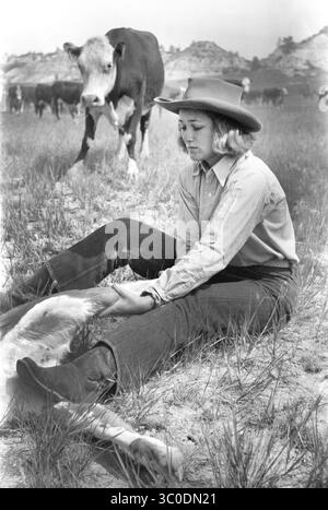 21. August 2018 - Montana, USA - Dude Girl 'Rassling' a Calf, Quarter Circle U Ranch Roundup, Montana, USA, Arthur Rothstein, Farm Security Administration, Juni 1939 (Bild: © JT Vintage/Glasshouse Via ZUMA Wire) Stockfoto