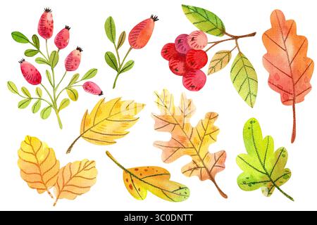 Eine Reihe von Herbstpilzen, Blättern, Beeren. Botanische Illustration mit Aquarell. Handgezeichnete Pflanzen. Isoliert auf weißem Hintergrund Stockfoto