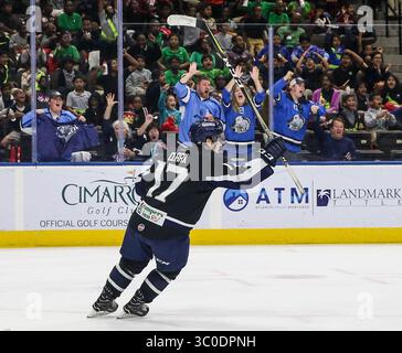 ECHL 2018 So. Carolina Stingrays vs. Jacksonville Icemen: Jacksonville Icemen Stürmer Everett Clark (17) feiert in der Veterans Memorial Arena in Jacksonville, Florida, am Donnerstag, den 8. November 2018 ein erstes Tor seines Teams gegen die South Carolina Stingrays. Jacksonville gewann mit 4:1. (Gary Lloyd McCullough/ Cal Sport Media)(Credit Image: &Copy; Gary Lloyd McCullough/CSM via ZUMA Wire) Stockfoto
