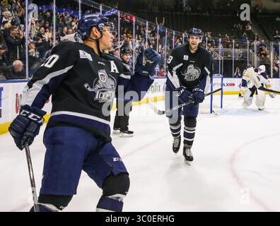 12. November: Jacksonville, FL, USA: Jacksonville Icemen Forward Wacey Rabbit (20), links, feiert seinen Treffer mit Forward Cam Maclise (8) während der ersten Phase eines ECHL-Profi-Hockeys in der Veterans Memorial Arena in Jacksonville, Florida, Montag, 12. November 2018. Icemen gewann beim Schießen mit 3:2. (Gary Lloyd McCullough/ Cal Sport Media)(Credit Image: &Copy; Gary Lloyd McCullough/CSM via ZUMA Wire) Stockfoto