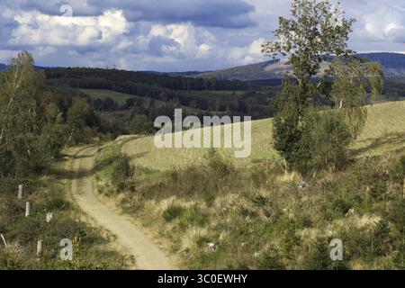 Sandweg schlängelt sich durch sanfte Hügel und Wiesen unter bewölktem Himmel, Kreuztal, Siegerland Stockfoto