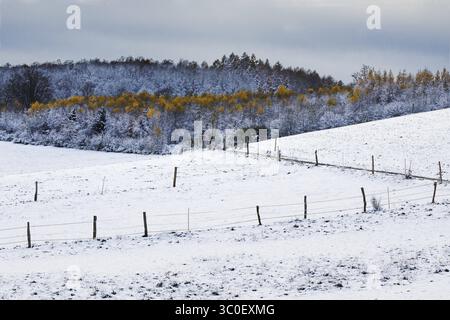 Schneebedeckter Hügel mit Bäumen im Hintergrund, umschlossen von einem Drahtzaun, Siegen Stockfoto