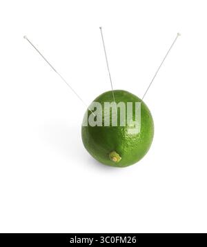 Kalk mit Akupunkturnadeln isoliert auf weißem Hintergrund Stockfoto