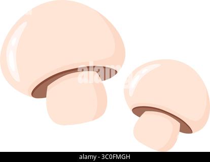 Paar frische junge Champignons isoliert auf weißem Hintergrund. Essbare Pilzzuchtpilze Clip Art. Gesunde Bio-Lebensmittel, Vektorelement Stock Vektor