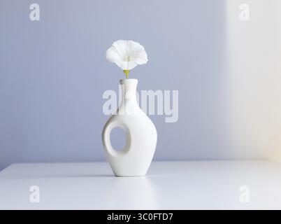 Weiße Vase und weiße Blume auf abstraktem hellblauem Hintergrund Stockfoto