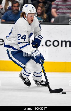 15. November 2018: Toronto Maple tritt im SAP Center in San Jose, Kalifornien, bei dem NHL-Spiel zwischen den Toronto Maple Leafs und den San Jose Sharks als Stürmer Kasperi Kapanen (24) hervor. Chris Brown/CSM(Kreditbild: &Copy; Chris Brown/CSM via ZUMA Wire) Stockfoto