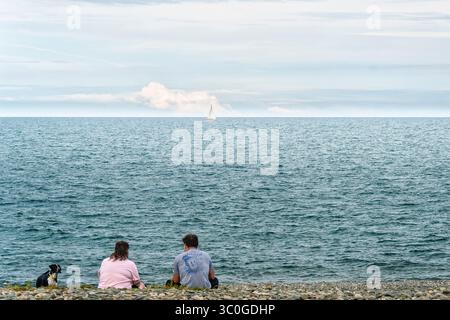 Zwei Männer und Hunde entspannen sich am Kieselstrand von Bray am Wasser während des BBQ Festivals mit Segelboot am Horizont – 19.07.2025 Stockfoto