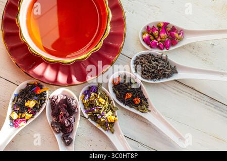 Verschiedene lose Teesorten mit Teetasse. Eine elegante rote Teetasse mit losen Teesorten auf Keramiklöffeln, die verschiedene Kräuter- und Blumenarten zeigen Stockfoto