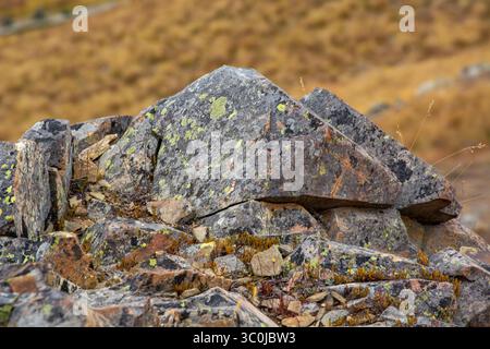 Aus nächster Nähe sehen Sie schroffe Felsen, die mit Moos und Flechten bedeckt sind, vor einem verschwommenen Hintergrund aus trockenem Gras und Erdtönen. Die Textur der Steine Stockfoto