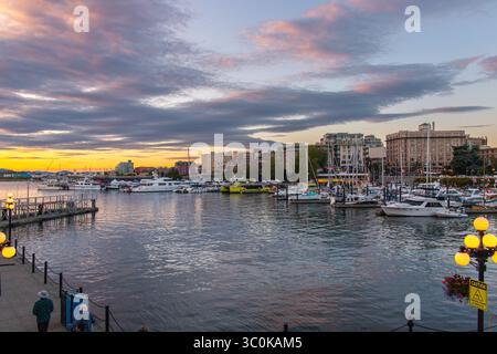 Victoria, BC, KANADA - Juni 30 2024 : Panoramablick auf Victorias Inner Harbour bei Sonnenuntergang, mit Yachten, Segelbooten, Stadtgebäuden und dramatischen Clou Stockfoto