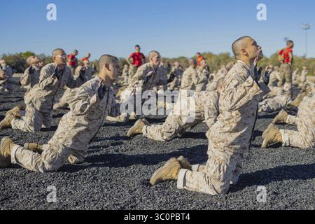 Rekruten des Marine Corps führen einen Frontabbruch während eines Kampfsportfestes im Marine Corps Recruit Depot San Diego, 23. Januar 2023 aus. Stockfoto