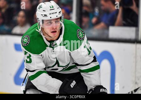 13. Dezember 2018: Mattias Janmark (13), der bei den Dallas Stars im SAP Center in San Jose, Kalifornien, im Spiel zwischen den Dallas Stars und den San Jose Sharks spielt. Chris Brown/CSM(Kreditbild: &Copy; Chris Brown/CSM via ZUMA Wire) Stockfoto