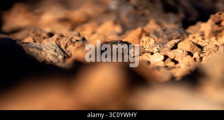 Steine und felsige Lavaformationen auf sandigem Wüstengelände aus der Nähe. Stockfoto