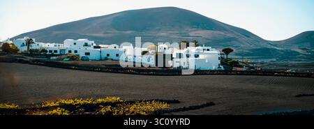 Kleine Stadt und Weinberge mit wachsenden Trauben auf dem schwarzen Vulkanboden der Insel Lanzarote. Stockfoto