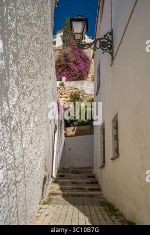 Die Altstadt von Altea Spanien ist voller schmaler Gänge und weiß getünchter Häuser Stockfoto