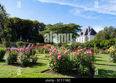 Rennes (Bretagne, Nordwestfrankreich): Der Thabor Park Stockfoto