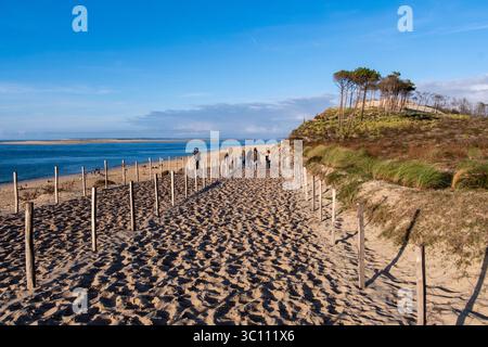 La Teste-de-Buch (Südwestfrankreich): Strand „plage du Petit-Nice“. Touristen genießen die Sonne am Strand im Herbst. Blick auf das Meer, den Atlantik Stockfoto