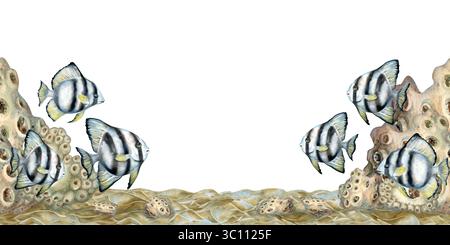 Nahtlose Grenze aus schwarz-weiß gestreiften tropischen Fischen und beigefarbenen Korallen an den Riffen. Aquarell-Illustration Vorlage der Meereslandschaft in Beigetönen isoliert Stockfoto