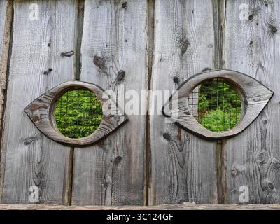 Das menschliche Auge, das Sinnesorgan für das visuelle Wahrnehmungsauge, das Organ für die visuelle Wahrnehmung Stockfoto