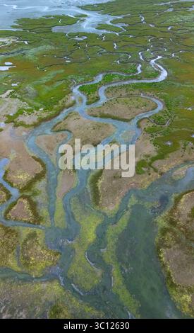 Aus der Vogelperspektive von einer Drohne auf die Ebbe-Landschaft in Santoña, in den Sümpfen des Naturparks Santoña, Victoria und Joyel Marshes. Kantabrisches Meer Stockfoto