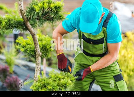 Ein Gärtner in grünem Overall und blauer Kappe schneidet einen Bonsai-Baum sorgfältig ab und zeigt die Liebe zum Detail in einem ruhigen botanischen Garten. Stockfoto