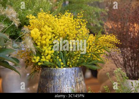 Vase aus frisch geschnittener Acacia Dealbata, auch bekannt als Silberflechte oder Mimosa im Frühjahr. Horizontal. Selektiver Fokus. Nahaufnahme. Stockfoto