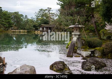 Kanazawa Japan Tempel Sakura Kirschbäume Parks Menschen Blumen Statuen Schrein Blüte Schloss Kenroku-en Stockfoto