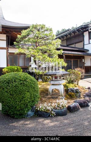 Takayama Japan Tempel Sakura Kirschbäume Parks Menschen Blumen Statuen Tradition Architektur Schilder Holzhäuser Schrein Stockfoto