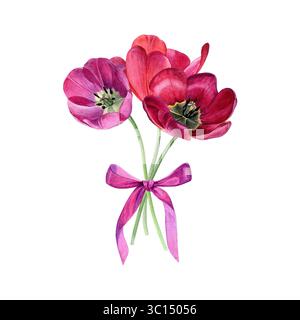 Tulpenstrauß mit rosa Schleife. Aquarell von hellen Frühlingsblumen isoliert auf einem weißen Hintergrund. Gut für Postkarten, Einladungen, Grußkarten Stockfoto