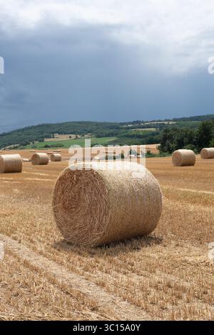 Heuhaufen im Feld, Ungarn Stockfoto