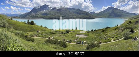 Panoramablick auf den Lac du Mont Cenis, im vorgelagerten Alpengarten Jardin Alpin neben der Passstraße zum Bergpass Col du Mont CENI Stockfoto