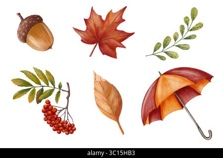 Set aus Herbstelementen Eichel, Ahornblatt, grünem Zweig, vogelbeeren, trockenen Blättern und Regenschirm, in warmen Aquarellen bemalt Stockfoto