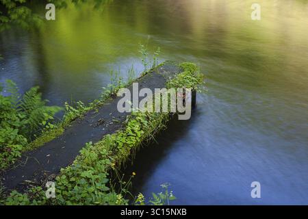 Moosbedeckte kleine Fußgängerbrücke ragt in den sanft fließenden Fluss, umgeben von grüner Ufervegetation Stillenbachklamm Mühlviertel Oberösterreich Stockfoto