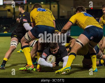 Houston SaberCats Rep Jamie Denver (1) geht beim Spiel zwischen den Glendale Raptors und den Houston SaberCats im Constellation Field, Sugar Land, Texas. Vollzeit Glendale Raptors schlug Houston SaberCats 36-21. ©Maria Lysaker - Cal Sports Media(Kreditbild: &Copy; Maria Lysaker/CSM via ZUMA Wire) Stockfoto