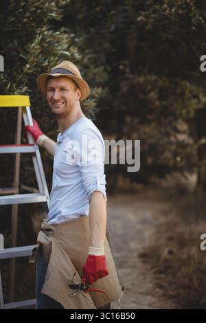 Ein Mann, der in einem baumgesäumten Obstgarten steht, eine Schere hält, sich auf die Leiter lehnt und einen Strohhut trägt Stockfoto