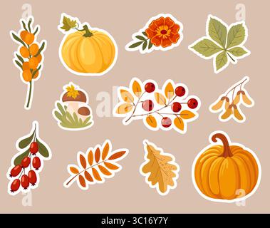 Herbstaufkleber-Set. Sammlung von Herbstbaumblättern, Kürbissen, Blumen, Beeren und Pilzen. Niedliche Elemente für den Herbst. Stock Vektor
