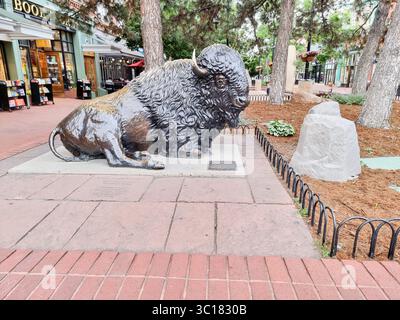 „Monarch of the Plains“ von Stephen LeBlanc, eine Bronzestatue eines Bisons in der Pearl Street, Boulder CO, Colorado, USA Stockfoto