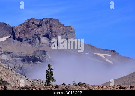 Unter zerklüfteten Vulkanklippen gleitet Nebel durch weiche, felsige Talus, während unter dem Gipfel des Mount Rainier robuste Pinien bewacht werden. Stockfoto