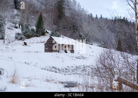 Ein alter Werkzeugschuppen, isoliert mitten im Schnee, im winterlichen Norwegen. Stockfoto