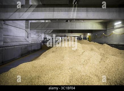 15. November 2016 - Shakopee, MN, USA - das neue 68 Millionen Dollar schwere Mälzerei bei Rahr Malting Co., einer Produktionsstätte in Familienbesitz in Shakopee, am Dienstag, den 15. November 2016, in Shakopee. Minn. (Kreditbild: Renee Jones Schneider/Minneapolis Star Tribune/TNS via ZUMA Wire) Stockfoto