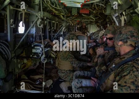 22. Januar 2019 - Camp Pendleton, Kalifornien, USA - US-Marines und Seeleute, die Soldaten der 1st Marine Logistics Group und der Japan Ground Self-Defense Force mit 1st Amphibious Rapid Deployment Regiment zugewiesen wurden, sichern Sicherheitsgurte innerhalb eines MV-22 Osprey Tiltrotor-Flugzeugs des U.S. Marine Corps während der Durchführung einer simulierten medizinischen Evakuierung während der Iron Fist, 22. Januar 2019 auf dem U.S. Marine Corps Base Camp Pendleton, CA. multilaterale Trainingsübung, bei der US-amerikanische und japanische Servicemitarbeiter gemeinsam trainieren und Techniken, Taktiken und Verfahren zur Verbesserung ihrer Fähigkeiten austauschen Stockfoto