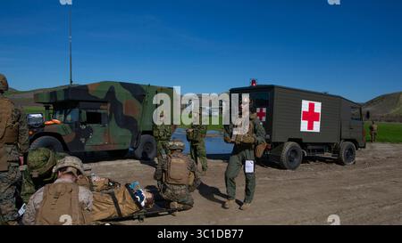 22. Januar 2019 - Camp Pendleton, Kalifornien, USA - US-Marines und Seeleute, die der 1st Marine Logistics Group und Japan Ground Self-Defense Force Soldaten mit 1st Amphibious Rapid Deployment Regiment zugewiesen sind, bereiten sich darauf vor, simulierte Opfer in ein MV-22B Osprey Tiltrotor-Flugzeug zu laden, um medizinische Evakuierungsübungen während Iron Fist, 22. Januar 2019 auf dem U.S. Marine Corps Base Camp Pendleton, CA. Übung Iron Fist ist eine jährliche, multilaterale Trainingseinheiten und Trainingseinheiten, bei denen japanische Trainingseinheiten gemeinsam trainieren. Taktiken und Verfahren zur Verbesserung ihrer kombinierten Betriebsobergrenze Stockfoto
