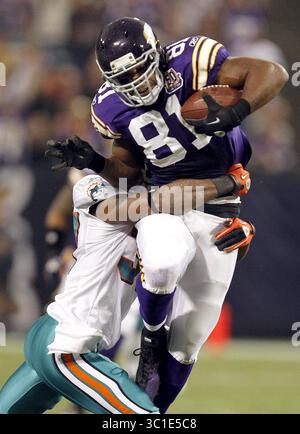 15. September 2010 - Minneapolis, MN, USA - Â 19. September 2010 Ã Minneapolis, Minn Ã The Metrodome Ã Mall of America Field Ã NFL Ã Minnesota Vikings vs. Miami Dolphins Vikings Tight End Visanthe Shiancoe (81) erhielt im zweiten Quartal einen Pass für einen 33-Yard-Gewinn. Miami schlug Minnesota mit einem Endwert von 14:10. (Kreditbild: Carlos Gonzalez/Minneapolis Star Tribune/TNS via ZUMA Wire) Stockfoto