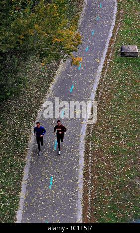 1. Oktober 2010 - Minneapolis, MN, USA - USA - â€¢ /1. Oktober 2010/15:00 Uhr gefallene Blätter verstreut den Weg entlang des West River Parkway in Minneapolis, während Jogger die herbstliche Luft genossen. Park Advocates hoffen auf aufregende neue Projekte entlang des Mississippi River, die über Parks und Parkways hinausgehen. (Bild: Jim Gehrz/Minneapolis Star Tribune/TNS via ZUMA Wire) Stockfoto