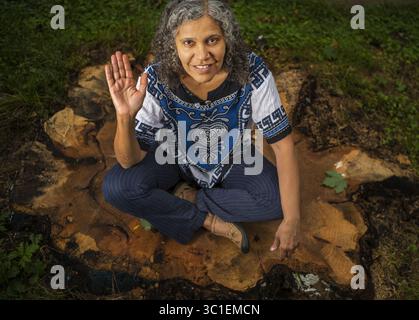 7. September 2016 – St. Paul, MN – Minnesota, USA – USA – Hend Al-Mansour ließ drei Figuren auf den Baumstamm malen, der einst vor ihrem Haus im Union Park in St. Paul stand, darunter eine, die die Hand von Fatima hielt, um das böse Auge zu vertreiben.RichardTsong-Taatarii (Kreditbild: Richard Tsong-Taatarii/Minneapolis Star Tribune/TNS via ZUMA Wire) Stockfoto