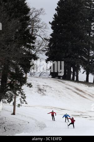 26. Dezember 2016 – Minneapolis, Minnesota, USA – Eine Gruppe von Skifahrern rutschte am Montag, 26,2016. Dezember, in Minneapolis, MN/jerry um den Kurs im Theodore Wirth Park. (Kreditbild: Jerry Holt/Minneapolis Star Tribune/TNS via ZUMA Wire) Stockfoto