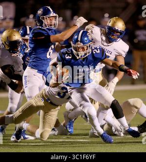 2. November 2018 - Burnsville, MN, USA - Woodbury's Drew Pearson (23) sucht in der ersten Hälfte des Play-off-Spiels der Klasse 6A am Freitag, 2. November 2018, an der Woodbury High School in Woodbury, MN... .. Städte stellen keine Haustierlizenzen mehr an Einwohner aus und bezeichnen die Anforderung als ineffektiv und unangetastet in einer Zeit, in der tollwütige Hunde selten in den Nachbarschaften herumstreifen und Tierbesitzer eher auf Facebook oder Mikrochips angewiesen sind, um verlorene Tiere zu finden. Nur die verantwortlichen Tierbesitzer haben ohnehin Lizenzen bekommen, sagte Jeff Kolb, Mitglied des Crystal City Council, und Stockfoto