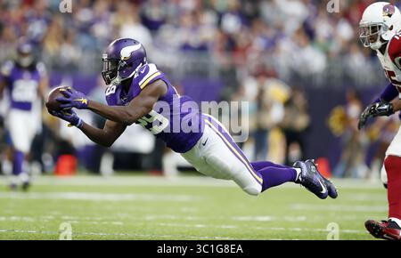20. November 2016 – Minneapolis, MN, USA – Minnesota Vikings Cornerback Xavier Rhodes (29) fängt im dritten Quartal im US Bank Stadium am Sonntag, 20. November 2016 in Minneapolis MN einen Pass ab, der für die Arizona Cardinals Wide Receiver Michael Floyd (15) bestimmt war. Die Minnesota waren Gastgeber der Arizona Cardinals/jerry. (Kreditbild: Jerry Holt/Minneapolis Star Tribune/TNS via ZUMA Wire) Stockfoto