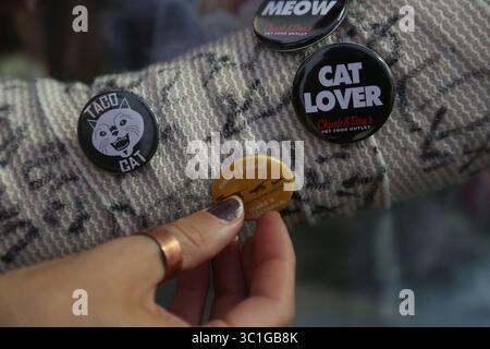 12. August 2015: St. Paul, MN, USA – Brianna Forcier, 19, aus Minneapolis, erhielt während des Cat Video Festivals, das vom Walker Arts Center veranstaltet wurde, weitere Pins an ihre Besetzung. (/STAR TRIBUNE) Cat Video Festival am CHS Field in St Pauls, Min., Mittwoch, 12. August 2015. (Kreditbild: Kyndell Harkness/Minneapolis Star Tribune/TNS via ZUMA Wire) Stockfoto