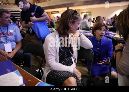 1. Juni 2018: Minneapolis, MN, USA – Minnesota Attorney General Lori Swanson sprach mit Delegierten während der DFL State Convention am Freitag. ...Demokraten aus dem ganzen Staat versammelten sich zum DFL State Convention, um die Kandidaten ihrer Partei am Freitag, den 1. Juni 2018 im Mayo Civic Center in Rochester, Minn. (Credit Image: Anthony Souffle/Minneapolis Star Tribune/TNS via ZUMA Wire) auszuwählen. Stockfoto